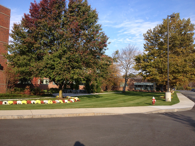photo36
